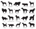 Set of dogs silhouettes-2 Royalty Free Stock Photo