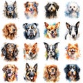 Set of dogs of various breeds painted in colorful watercolor on a white background in a realistic manner. Royalty Free Stock Photo