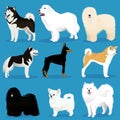 Set of dogs Royalty Free Stock Photo