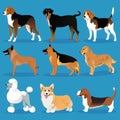 Set of dogs Royalty Free Stock Photo