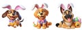 Cutout Set of Cute 3D Dogs Dressed Up as Easter Bunny, Isolated on Transparent or White Background: PNG Clipart Royalty Free Stock Photo