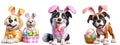 Cutout Set of Cute 3D Dogs Dressed Up as Easter Bunny, Isolated on Transparent or White Background: PNG Clipart Royalty Free Stock Photo