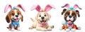 Cutout Set of Cute 3D Dogs Dressed Up as Easter Bunny, Isolated on Transparent or White Background: PNG Clipart Royalty Free Stock Photo