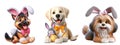 Cutout Set of Cute 3D Dogs Dressed Up as Easter Bunny, Isolated on Transparent or White Background: PNG Clipart Royalty Free Stock Photo