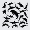 Dolphin silhouettes. a set of dolphin silhouettes