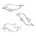 Dolphin ink illustrations. Fish sketches collection. Underwater wildlife animals drawings. Nature theme, simple minimal style. Royalty Free Stock Photo