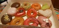 Set of donats in a box Royalty Free Stock Photo