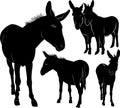 Set of donkeys silhouettes vector isolated on white background