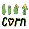 Set of doodle colored illustration corn, green and yellow hand draw vector illustration and the inscription corn