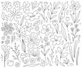 Set of doodle flowers, twigs and leaves Royalty Free Stock Photo