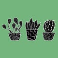 Set of doodle home plants. Vector hand drawn pots with flowers. Doodle silhouette Royalty Free Stock Photo