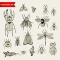 Set of doodle insects, sketch
