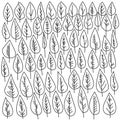A set of doodle leaves with a wide leaf blade and various venation options, fantasy leaves, parts of a plant in the form of