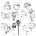 Set of doodle sketch Strelitzia, plumeria, lotus, elephant, palm, coconut, cactus, butterflies and seashells. vector Royalty Free Stock Photo