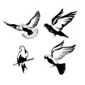 A set of doves flies with spread wings in the sky or sits. Logo template or icon isolated symbol of peace freedom or Royalty Free Stock Photo