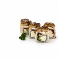 A set of dragon rolls with eel. Sprinkled with sesame seeds on top. Royalty Free Stock Photo