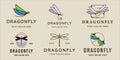 set of dragonfly logo vector line art modern color illustration template icon graphic design. bundle collection of various simple