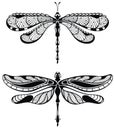 Set of Dragonfly. Tattoo style