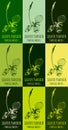 Set of drawing of BROADLEAF PLANTAIN in various colors. Hand drawn illustration. Latin name PLANTAGO MAJOR L