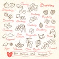 Set drawings of berries for design menus, recipes