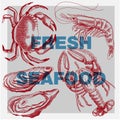 Set of drawings of different seafood. Good quality handmade. Vector