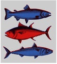 Set of drawings of different seafood. Good quality handmade. Engraving. Vector