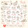 Set drawings of fruit for design menus, recipes