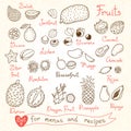 Set drawings of fruit for design menus, recipes