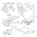 Set of drawings of marine residents - a shark, squid, fish, jellyfish, dolphin, shrimp, octopus.