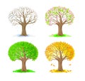 Set of drawings of trees in the four seasons. Stylized illustration of winter, spring, summer and autumn. Educational page for