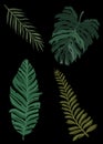 Set drawn of tropical vegetation, color graphic leaves and deciduous branches, isolated green silhouettes of plants close-up