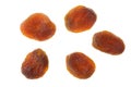 Set of dried apricots isolated on white background, top view Royalty Free Stock Photo