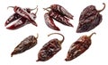 Set of Dried Chipotle chili pepper isolated on a white background Royalty Free Stock Photo