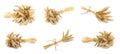 Set with dried ears of wheat on background. Banner design Royalty Free Stock Photo
