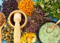 A set of dried flowers and berries, herbs, oak bark, sea salt on old wooden table Royalty Free Stock Photo