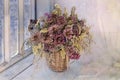 Set of dried flowers in a bouquet Royalty Free Stock Photo