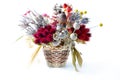 Set of dried flowers in bouquet on white background Royalty Free Stock Photo
