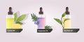 set dropping essential lemon peppermint tea plant oil glass bottles with liquids natural face body beauty remedies