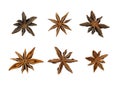 Set of dry anise stars isolated