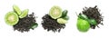 Set with dry tea leaves and bergamot fruits on white background, top view. Banner design Royalty Free Stock Photo