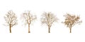 Set of dry tree shape and Tree branch on white background for isolated Royalty Free Stock Photo