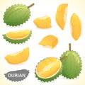 Set of durian in various styles format