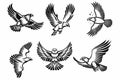 Set of Eagle animals emblem logo design with black Eagle line art icon vector illustration on white background Royalty Free Stock Photo