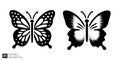 Elegant Butterfly Vector Illustrations Royalty Free Stock Photo