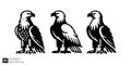 Eagle Silhouettes: Vector Illustration Set Royalty Free Stock Photo