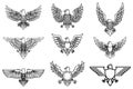Set of eagle icons isolated on white. Design element for logo, label, emblem, sign