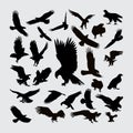 Eagle silhouettes. a set of eagle silhouettes