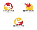 Set of Eagle Star Logo Template Design