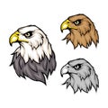 Set of eagles. Bald eagle logo. Wild birds drawing. Head of an eagle. Royalty Free Stock Photo