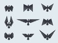 Set eagles and hawks. Eagle logo vector template